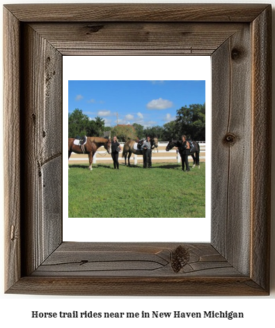 horse trail rides near me in New Haven, Michigan